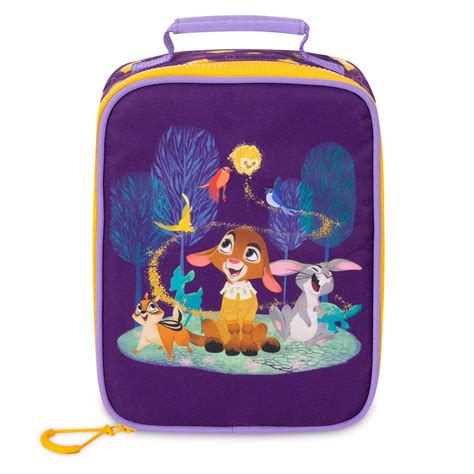 disney wish lunch box